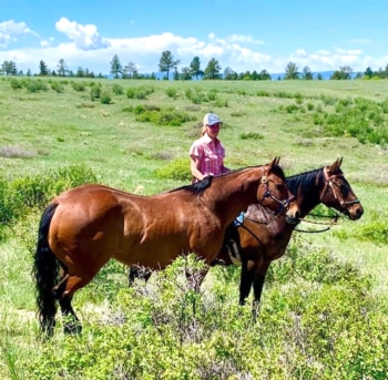 IMG-2378.jpg(Md:350x340) Md_IMG-2378.jpg(Md:350x340)